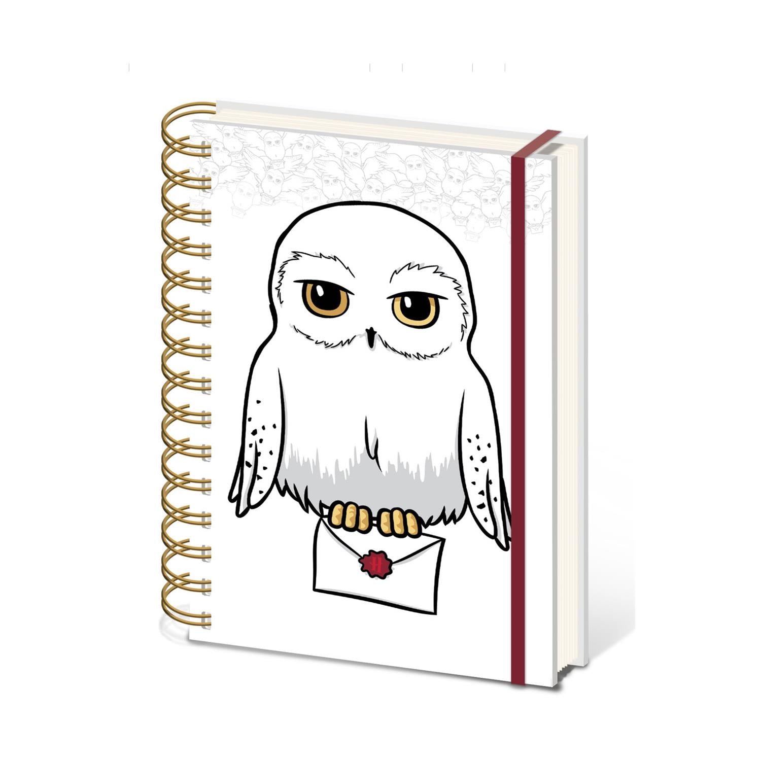 Harry Potter - Special Delivery A5 Wiro Notebook