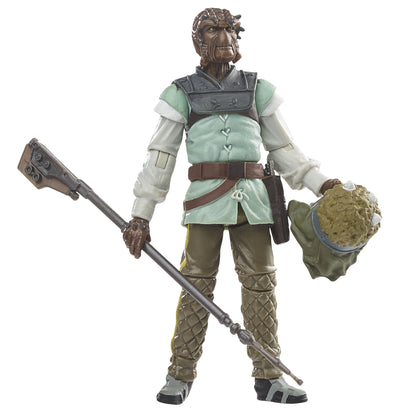 Hasbro Fans Vintage Collection: Disney Star Wars Nikto (Skiff Guard) Actionfigur