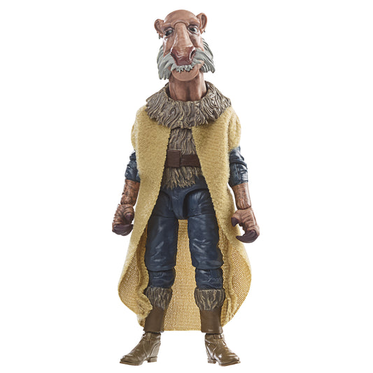 Hasbro Fans Disney Star Wars Saelt-Marae Actionfigur 10cm